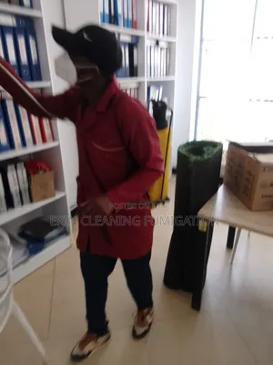 Fumigation Services Once Ayear