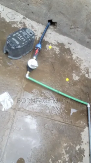 Professional Plumber