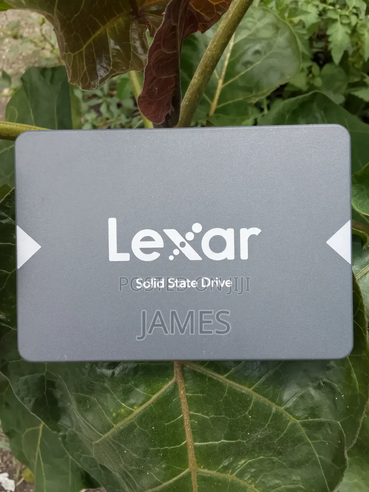 Lexar 256gb SSD Ns100 2.5 Sata