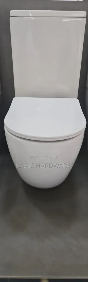 Unique Shaped Toilets Seat