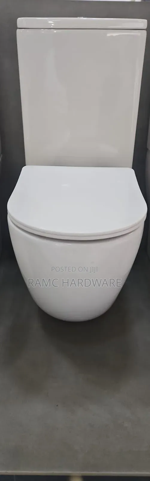 Unique Shaped Toilets Seat