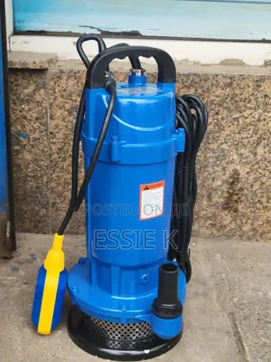 Electric Submersible Pump