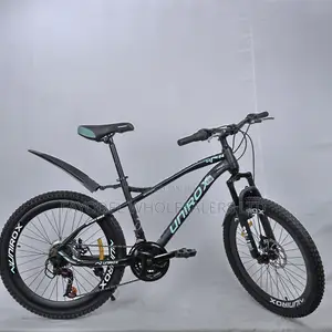 Unirox 24 Inch Mountain Bicycle – Built for Performance