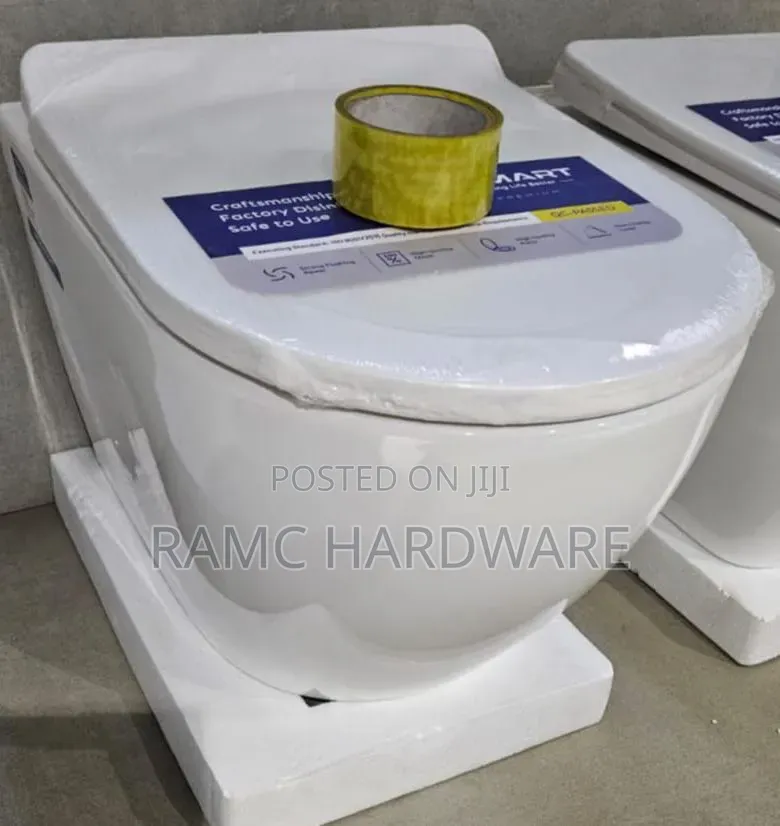 Back to Wall Toilets