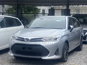 Toyota Corolla Fielder 2019 Silver
