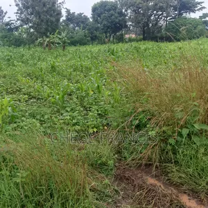 Kenol Muranga