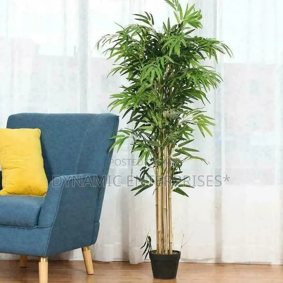 5ft Potted House Tree