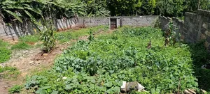 Prime Plot for Sale in Kikuyu
