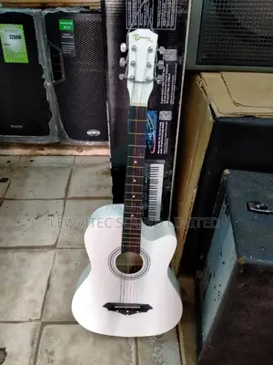 Acoustic Guitar