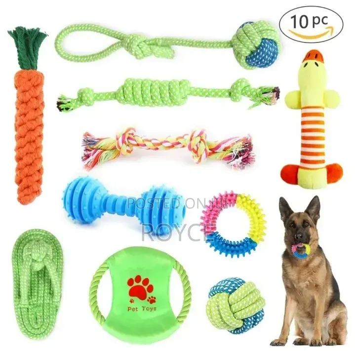 10pc Dog Chew Toy Set