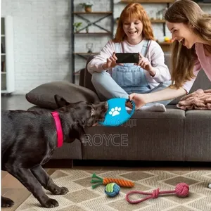 10pc Dog Chew Toy Set