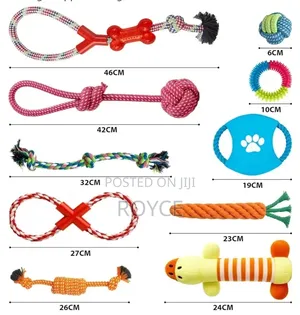 10pc Dog Chew Toy Set