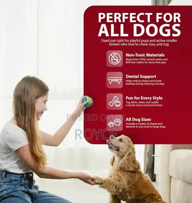 10pc Dog Chew Toy Set