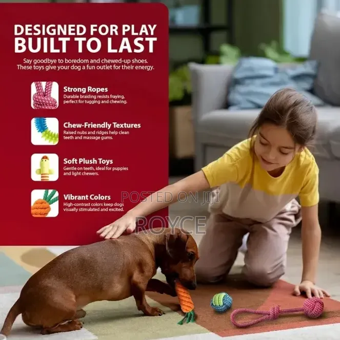 10pc Dog Chew Toy Set