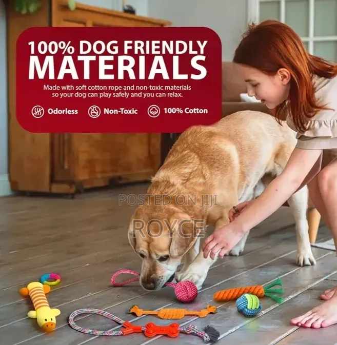 10pc Dog Chew Toy Set