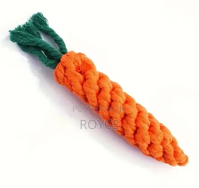 10pc Dog Chew Toy Set