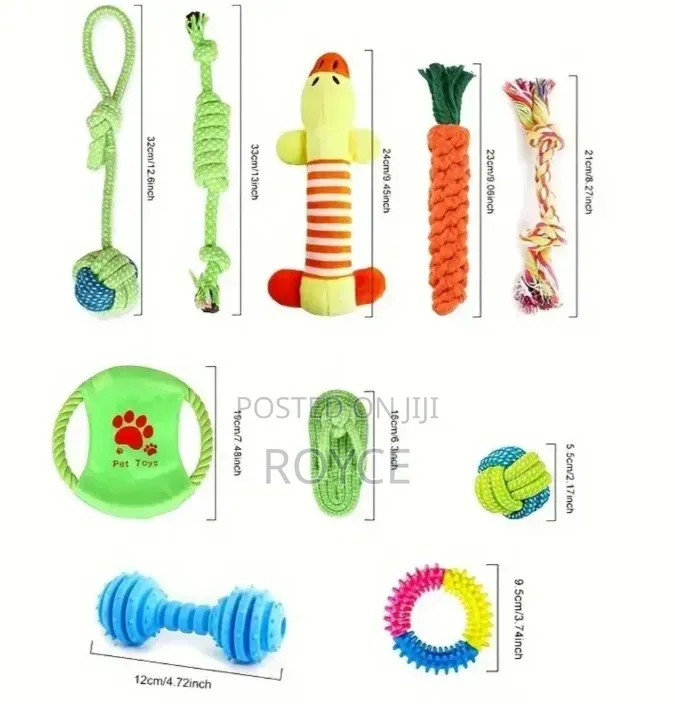 10pc Dog Chew Toy Set