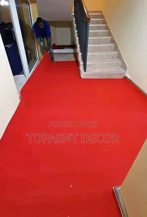 Soft Under Your Feet Wall to Wall Carpet Perfection