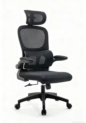 Orgonomic Office Chair