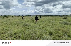 Mavoko/ Kitengela Next To Excel Girls School
