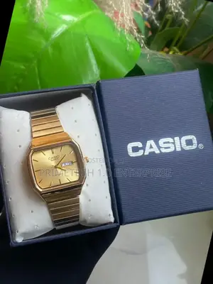 Casio Day and Date Watch