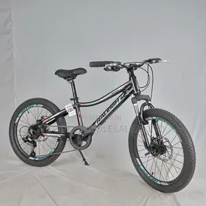 Original Raleigh Bicycle – Durable Reliable for Everyday Use