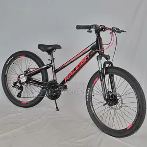 Raleigh Bike – Lightweight, Comfortable Stylish Design