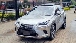 Lexus NX 2019 Silver