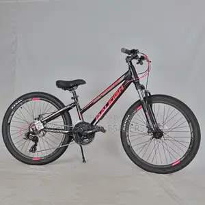 Raleigh Mountain Bicycle – Strong Suspension Gear System