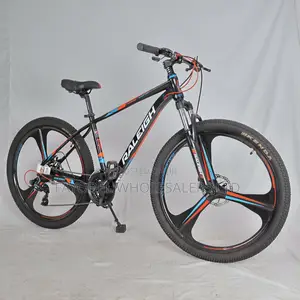 Raleigh MTB – Rugged, Durable Perfect for Kenyan Roads