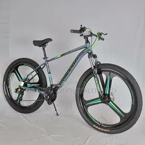 Raleigh Bike – Premium Build, Long Lasting Performance