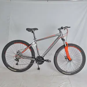 Original Raleigh Bicycle – Durable Reliable for Everyday Use