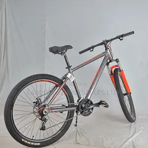 Raleigh Mountain Bicycle – Strong Suspension Gear System