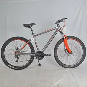 Raleigh Mountain Bike – Strong Frame, Smooth Ride, Ready to Go