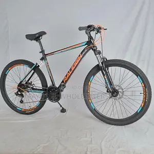 Raleigh MTB – Perfect for Road Off-Road Adventures