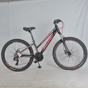 Raleigh MTB – Rugged, Durable Perfect for Kenyan Roads