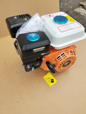 Industrial Petrol Engine