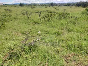 9 Acres of Land for Sale in Kajiado County Konza in Kapiti Plains.