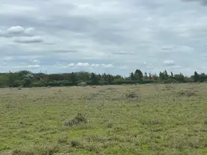 19-Acre Block for Sale in Kajiado Behind Naisula School.