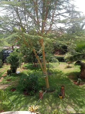 Land on Sale at Karen Rhino Park