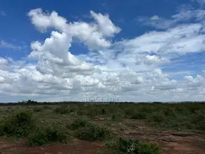 Birika –71 Acres for Sale Near Ereteti School