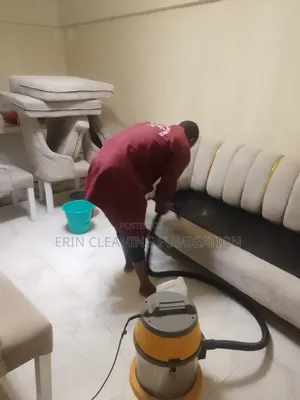 Experienced Cleaners in Sofa and Mattress