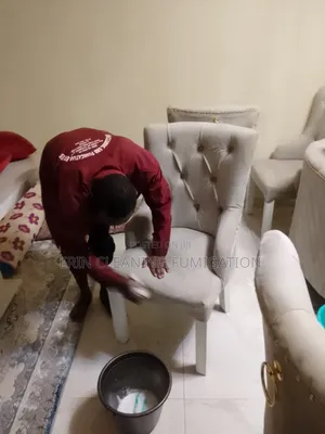 Special Sofa Cleaning Services and Perfuming