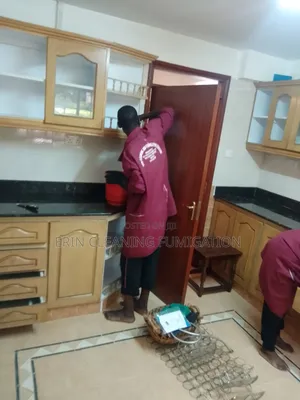 Professional Cleaning Pest Control Fumigation