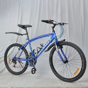 Swing Adult Bike – Ideal for City Commuting Leisure