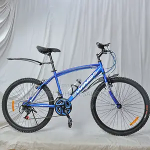 Swing Adult Bike – Classic Design With Modern Features
