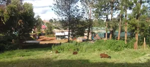 Plot for Sale 100 by 100 Karuri Ndenderu Road 10.5