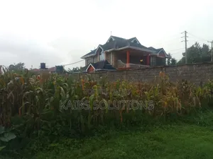Plot for Sale at Kathpat Estate 50 by 100 6m