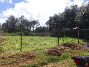 Plot for Sale at Kathpat Estate 100 by 1008m