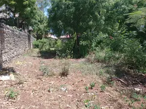 1⁄4 Acre Plot |Partial Perimeter Wall | Walk to Beach Airport